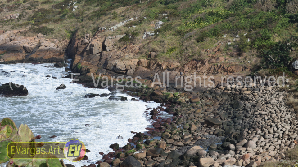 beautiful seacoast waves seen from land, daylight