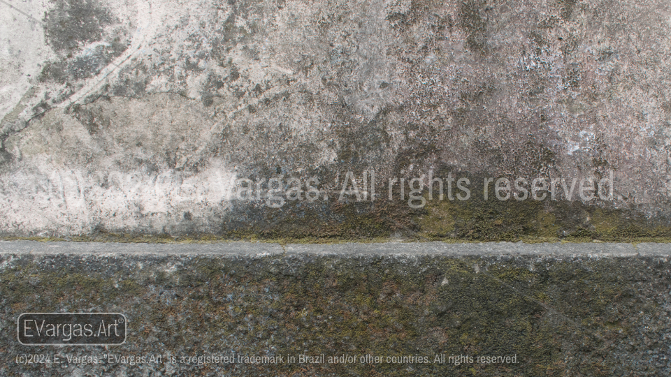 mold, moss on a street wall, dirty, outdoors, daylight, close-up, urban