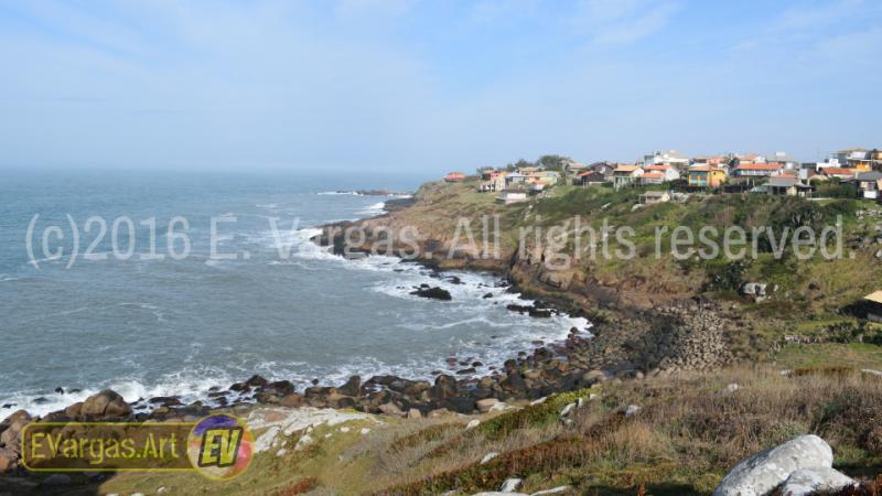 beautiful seacoast waves seen from land, daylight, rocks, grass