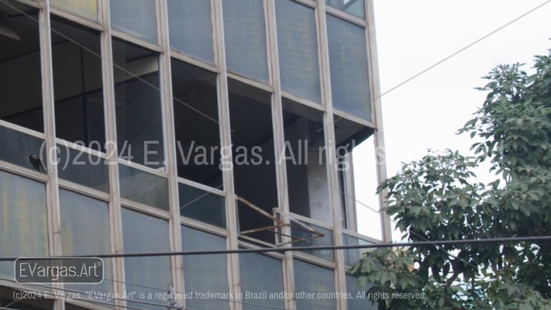 abandoned building, clear sky, close-up, part of a tree, windows, day, outdoors, street, urban