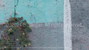 close-up of a street wall, some leaves growing, blue, white, gray, green, daylight, outdoors, urban