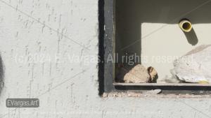 a square hole on a white street wall, plastic pipe, small rocks inside, shadows, sunlight, outdoors, day, daylight, street, urban